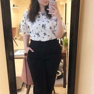 Ruffle sleeve pleione top